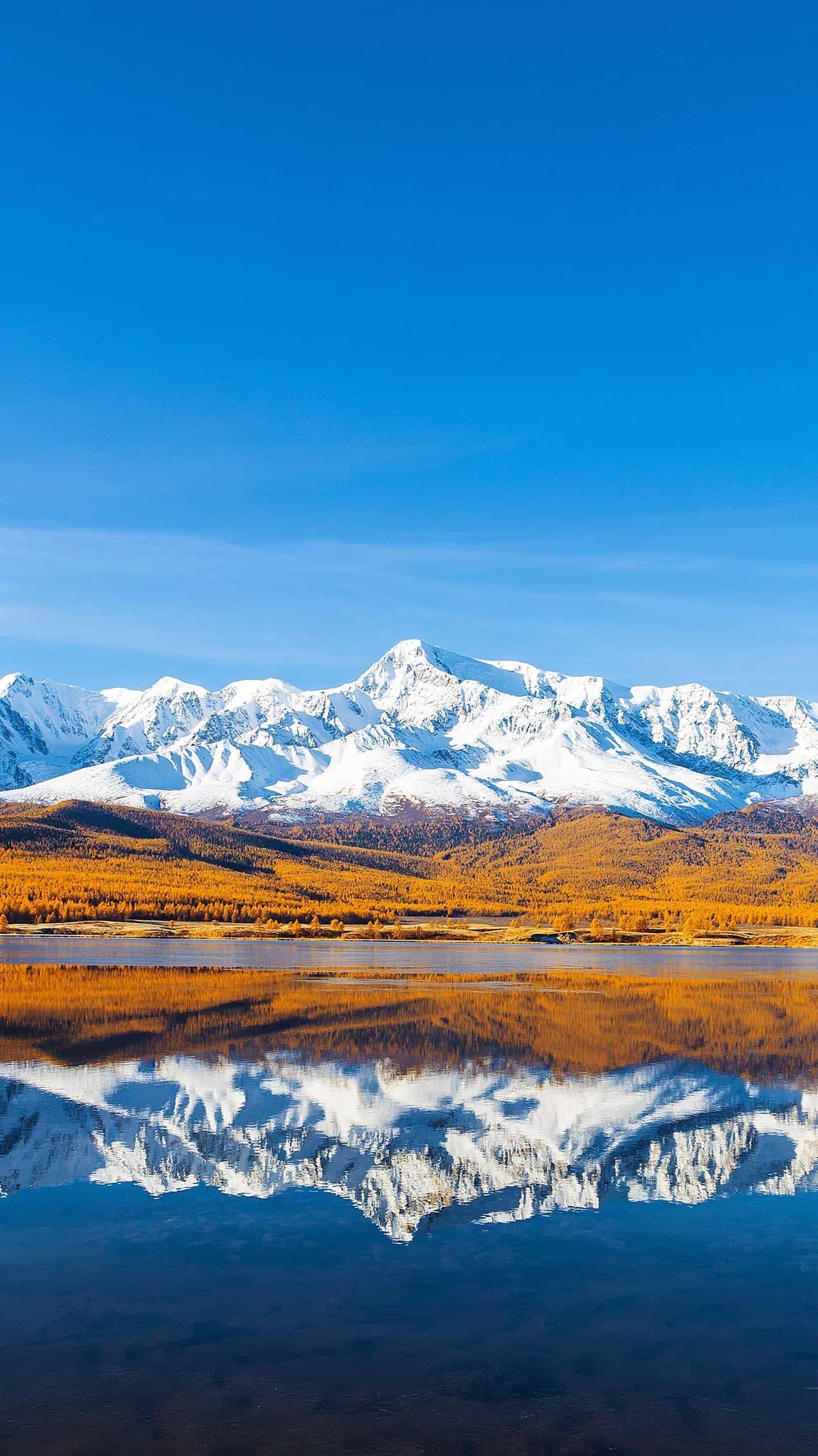 《Nginx 1.24 vs Apache 2.4：谁才是2024年Web服务器的性能王者？》